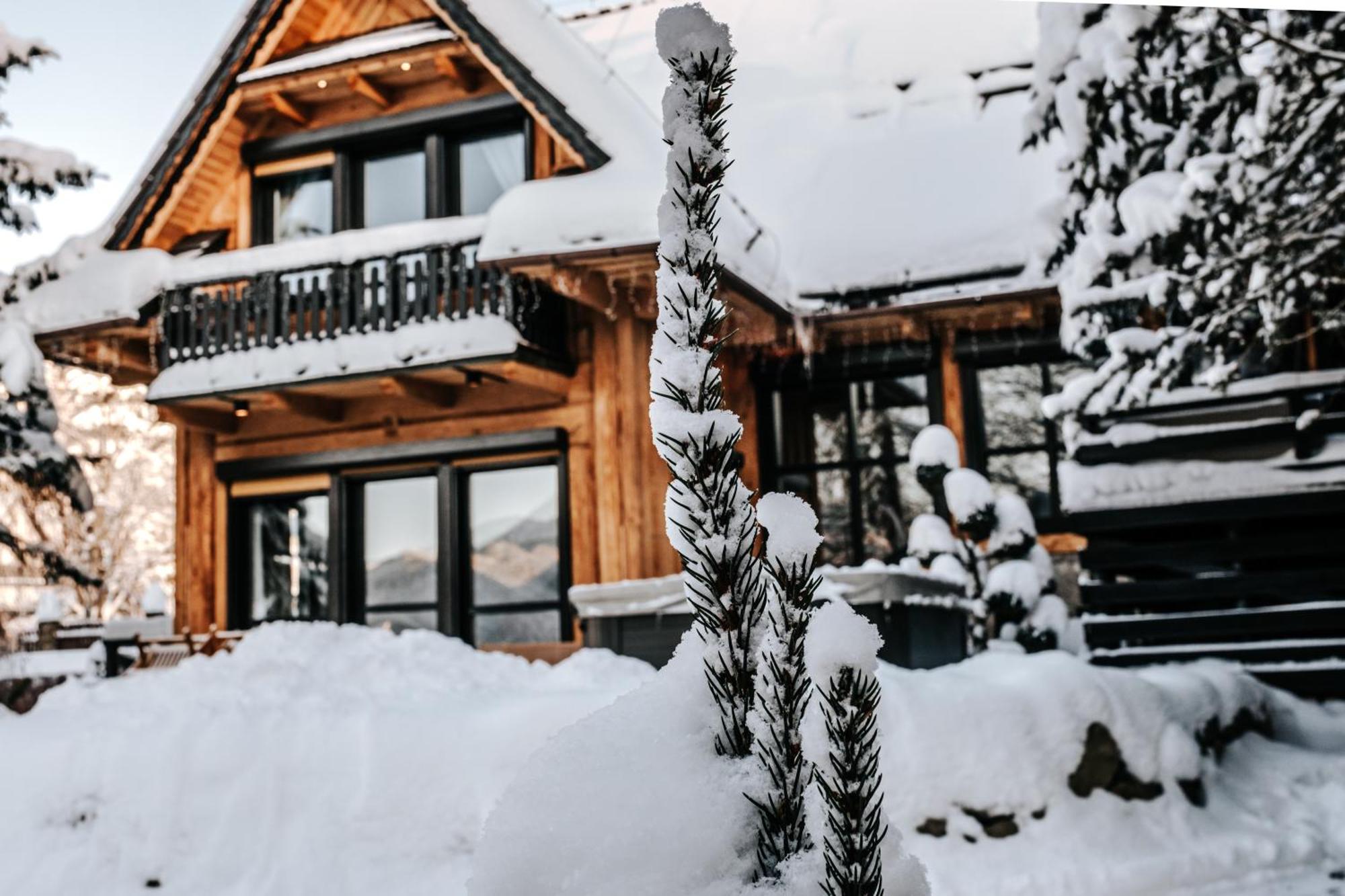 Villa Swiss Na Wylacznosc - Jacuzzi, Sauna, Bilard Kościelisko Extérieur photo